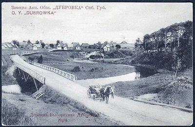 Деревня Выборгская Дубровка. 1910-е годы.