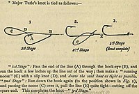 Черепаший узел[en][17], Узел Турле[4]:114, Turle knot, Major Turle's Knot. Вариант узла для смещённого прикрепления под углом к крюкам и отверстиям[4].