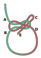 Lapp knot. [abok 268]