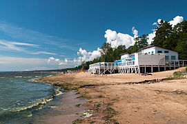 Побережье Финского залива, пос. Комарово