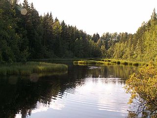 Озеро-разлив перед ж.д. мостом на речке Серебристой. Фото 2006 г.