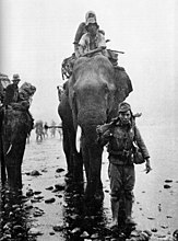 Японские солдаты верхом на слоне в Бирме
