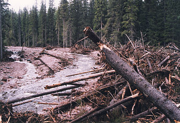 После урагана 1997 года