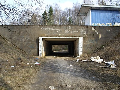 Подземный переход. 2010 год