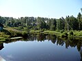 Река Перетна (вид с моста в Окуловке против течения)