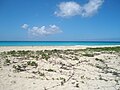 Один из песчаных пляжей национального резервата Санди-Пойнт