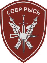 Нарукавный знак