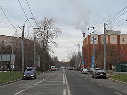 Вид от Коломяжского проспекта