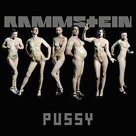 Обложка сингла Rammstein «Pussy» (2009)