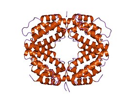 Кристаллическая структура биологически активной одноцепочечной мутации интерферона человека