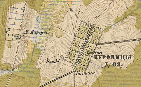 План деревни Куровицы. 1885 год