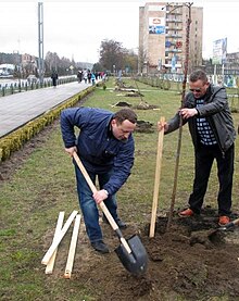 В.Яніцький разом зі своїм помічником Віктором Гнедко під час висадки алеї сакур у м. Кузнецовськ