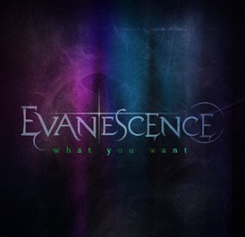 Обложка сингла Evanescence «What You Want» (2011)