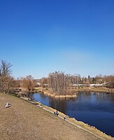 Мирожка (проточный пруд с островом). Вид с автомобильной дамбы