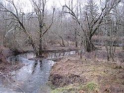 Устье Граинки в деревне Шлёпиха