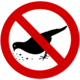Птиц не кормить
