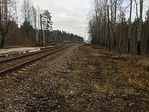 Разобранный боковой путь. Вид в сторону ст. Зеленогорск.